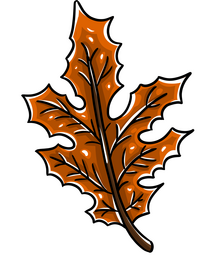 Leaf