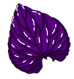 Purple Leaf